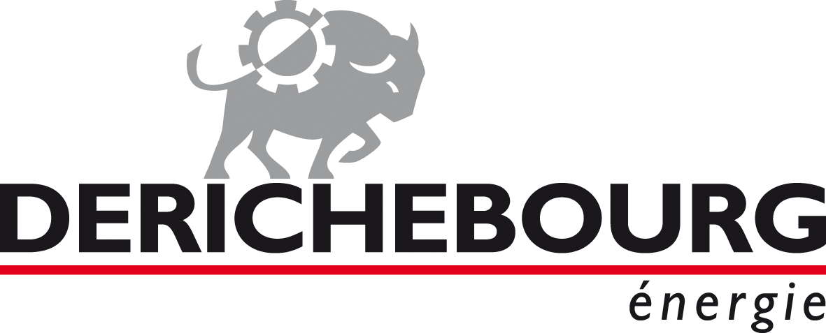 DERICHBOURG Logo Couleurs